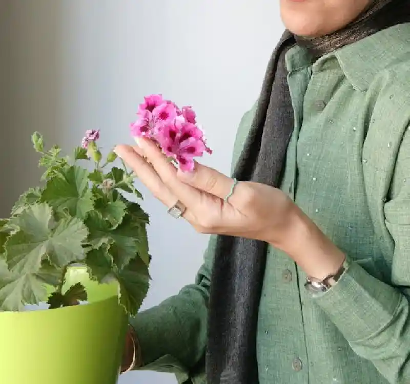 Plantcare