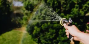 How Often Should You Water Your Plants? A Seasonal Guide